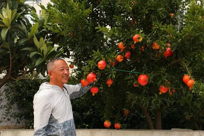 走进十里古村(图9)